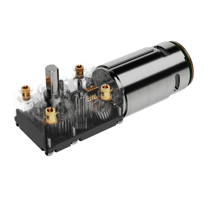 Motor de engranaje de gusano de corriente personalizada de 24v DC concha de plástico